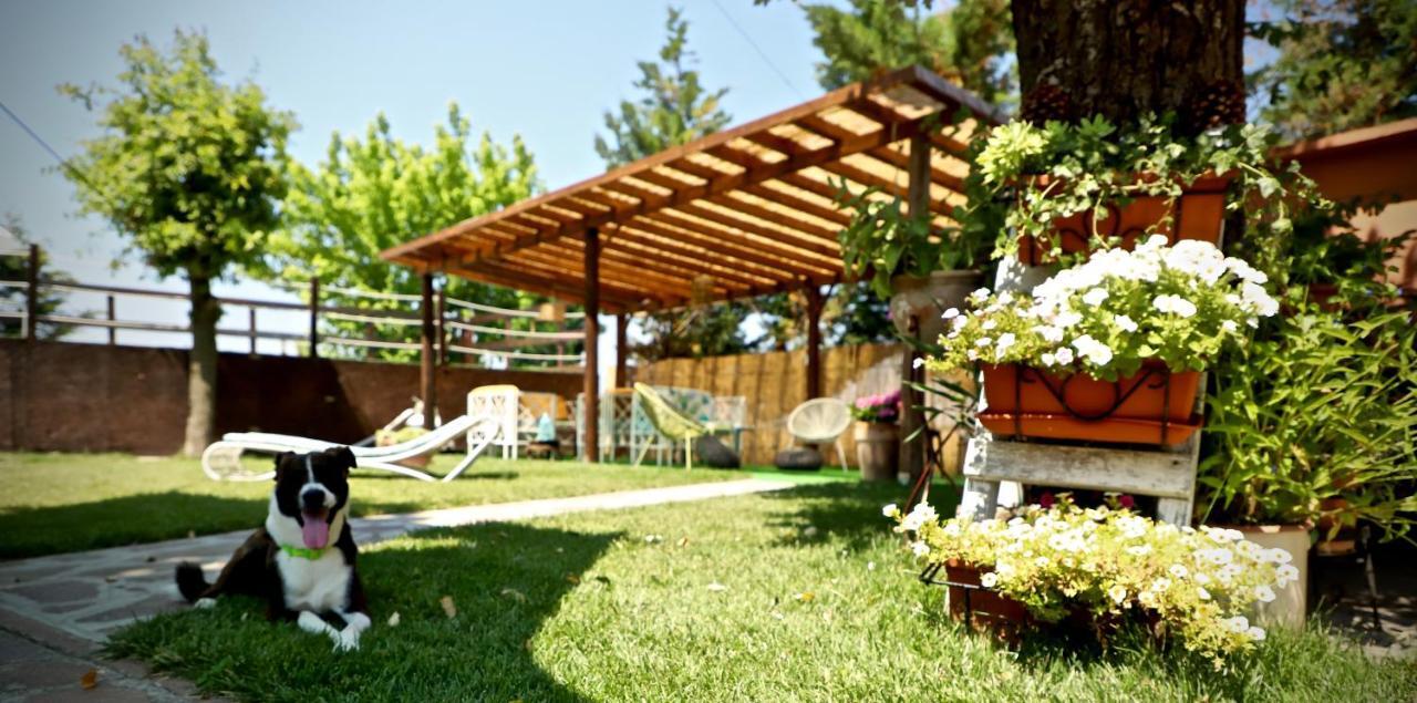 B&B Da Betta Савио-ди-Равенна Экстерьер фото